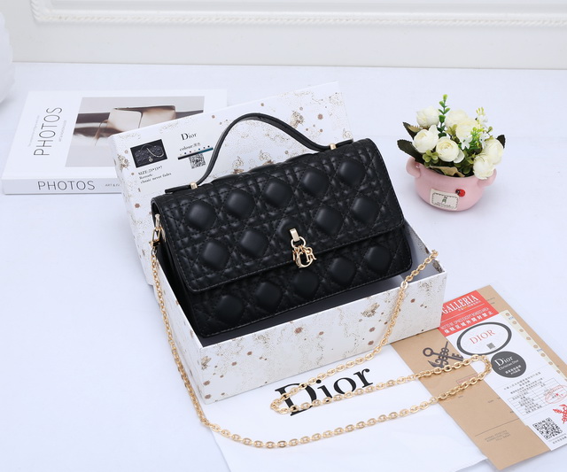 DlOR Handbags 077